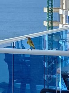 Apartamento con salida al Mar في سانتا مارتا: وجود الطيور جالسة على سور في مبنى