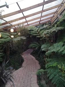 a brick walkway in a greenhouse with plants at Pumpkin Tree Guesthouse in Middelburg