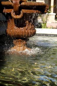 a fire hydrant pouring water into a pool of water at Pumpkin Tree Guesthouse in Middelburg