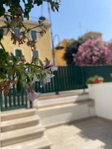 een plant met paarse bloemen op een balkon bij Riviera Albachiara Anzio B&B in Anzio
