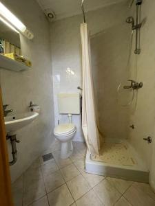 a bathroom with a toilet and a shower and a sink at Kegljišče VISOLE Apartmaji in Sobe in Slovenska Bistrica