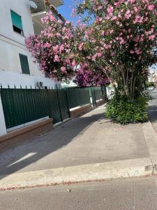 a tree with pink flowers in front of a fence at Riviera Albachiara Anzio B&B in Anzio