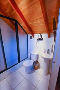 uma casa de banho com um WC e um lavatório em Gecko Hostel em Pucón