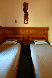 A bed or beds in a room at Gecko Hostel