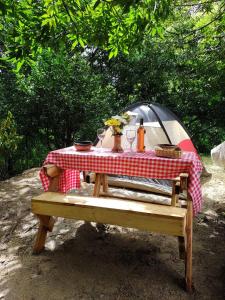 Vrt pred nastanitvijo Hostal Dos Quebradas