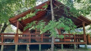 una cabaña de madera en el bosque con un árbol en Agradable casa cerca de las termas de Chillan, en Las Trancas