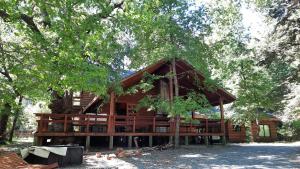 a log cabin in the shade of a tree at Agradable casa cerca de las termas de Chillan in Las Trancas