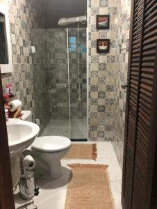 La salle de bains est pourvue d'une douche, de toilettes et d'un lavabo. dans l'établissement Casa de campo com piscina em Paty do alferes, à Paty do Alferes