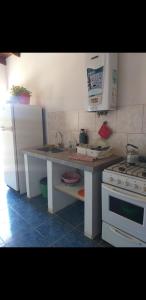 a kitchen with a counter with a sink and a stove at La Peninsula in Neuquén