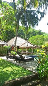 a group of chairs and umbrellas in a garden at Mama Bella's Retreat in Senggigi 