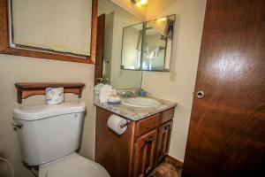 Vannituba majutusasutuses Cedar Pines-1529 by Big Bear Vacations +11 fotot