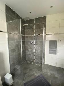 a bathroom with a shower with a glass door at Ferienwohnung 2 Schweizer in Geisingen