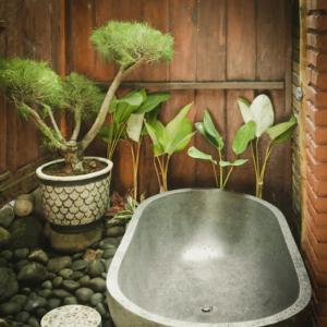 a bath tub in a room with potted plants at Cokro Hinggil - Traditional View in Sleman