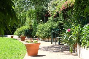 a garden with flowers and plants on a sidewalk at Hôtel Le Trinquet in Louhossoa