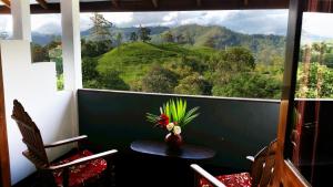 Pemandangan gunung umum atau pemandangan gunung yang diambil dari rumah tamu ini