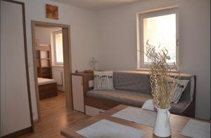 salon z kanapą i stołem w obiekcie Apartmán Loučná - Špičákovi w mieście Loučná nad Desnou