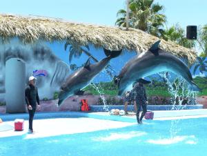 Bassein majutusasutuses Hotel Splash Inn või selle lähedal