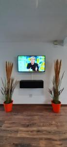 einen Flachbild-TV an einer weißen Wand mit zwei Pflanzen in der Unterkunft Teniente Aguado in Alicante