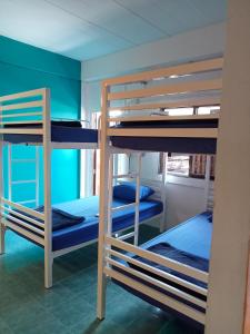 2 literas en una habitación con paredes azules en TIKI HOSTEL, en Haad Rin