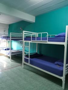 two bunk beds in a room with a green wall at TIKI HOSTEL in Haad Rin