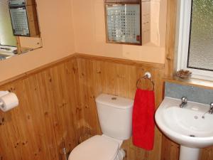 a bathroom with a white toilet and a sink at RoSE COTTAGE THREE BEDROOM HOUSE WITH PARKING in Carsphairn