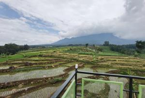 Příroda nedaleko rezortu + 10 fotografií