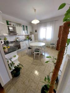 Kuchyňa alebo kuchynka v ubytovaní Spacious apartment Ita - near beach (terrace, sea view) + 8 fotografií