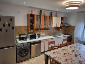 a kitchen with a stainless steel refrigerator and a table at Cabana Donca in Bistra Mureşului