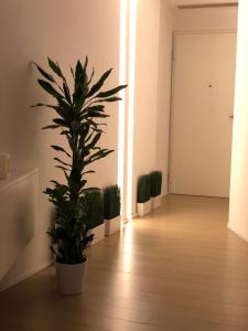 einen Flur mit Topfpflanze in einem Raum in der Unterkunft Lux Apartment in Historical Center of Palermo in Palermo