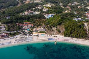 an aerial view of a beach and the ocean at OLEA Luxury Apartments in Parga