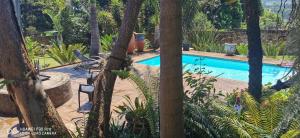 una piscina en un jardín con árboles alrededor en Cycadales Villa, en Sabie
