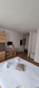 Un televizor și/sau centru de divertisment la Hotel Dacor