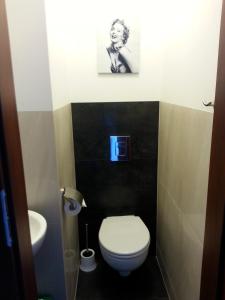 グディニャにあるPokoje w Apartamencie Danutaの小さなバスルーム(トイレ、シンク付)