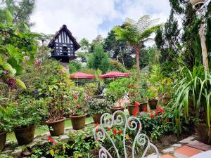 a garden with lots of plants and flowers at Mossy Forest Family Retreat, Kea Farm Brinchang in Brinchang