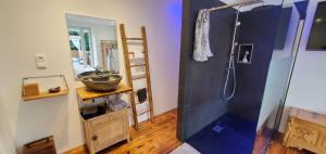 a bathroom with a shower and a sink at MONTAGNE-LAC&SPA (jacuzzi privé) (NOUVEAU) in Anould +20 photos