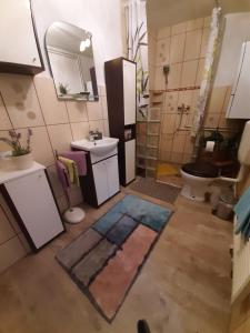 a bathroom with a sink and a toilet and a mirror at Haus Sorgenfrei in Caputh +28 photos