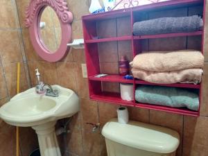 uma casa de banho com um lavatório, um WC e um espelho. em Casa de Campo Tamasopo em Tamasopo