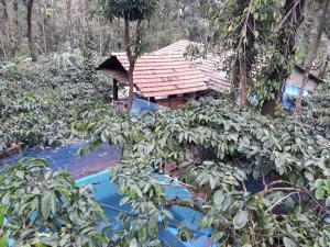 a house in the middle of a forest at Durf green in Madikeri