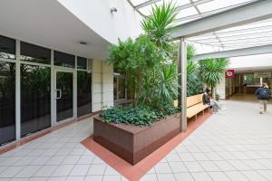 Vonkajšia záhrada v ubytovaní Sleepway Apartments -Boho Chic