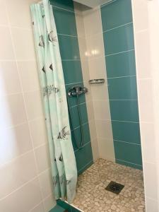 a bathroom with a shower with a shower curtain at Appartement les mouettes du Cap d'Agde in Cap d'Agde