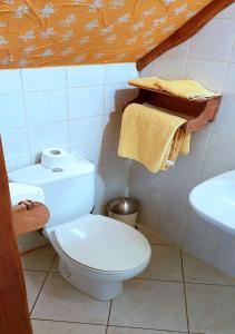 a bathroom with a white toilet and a sink at Zajazd Pod Kogutkiem in Busewo