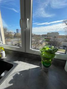 un jarrón de verduras sentado frente a una ventana en LUXURY WHITE APARTMENT by Marta, en Radom