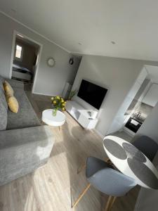 Una sala de estar con un sofá y un televisor. en LUXURY WHITE APARTMENT by Marta, en Radom