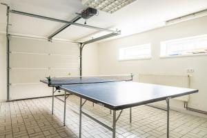 Stolní tenis v ubytování Seemannshus nebo okolí