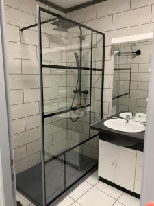 La salle de bains est pourvue d'une douche en verre et d'un lavabo. dans l'établissement Très bel Appartement cosy proche de la gare et de l'hôpital - IMMOMMER, à Orval