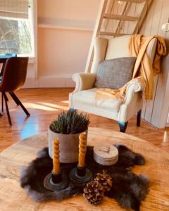 een woonkamer met een tafel met een plant en een stoel bij Chalet Woods in Durbuy