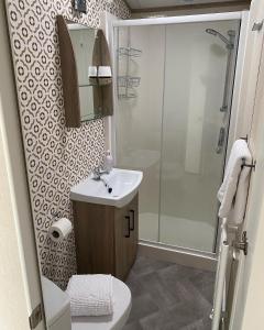 a bathroom with a toilet and a sink and a shower at Honeybee Lodge in Morpeth