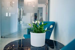 un vaso bianco con fiori bianchi su un tavolo di Hotel B4 a Oradea