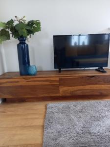 a flat screen tv sitting on top of a wooden entertainment center at bungalow Onder de iep in Ermelo