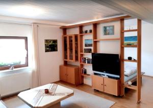 ein Wohnzimmer mit einem Flachbild-TV und Holzregalen in der Unterkunft Ferienwohnung "kleine galerie" in Königheim
